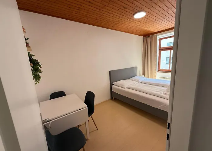 Living - 7 Minutes To Stephansplatz Vienna